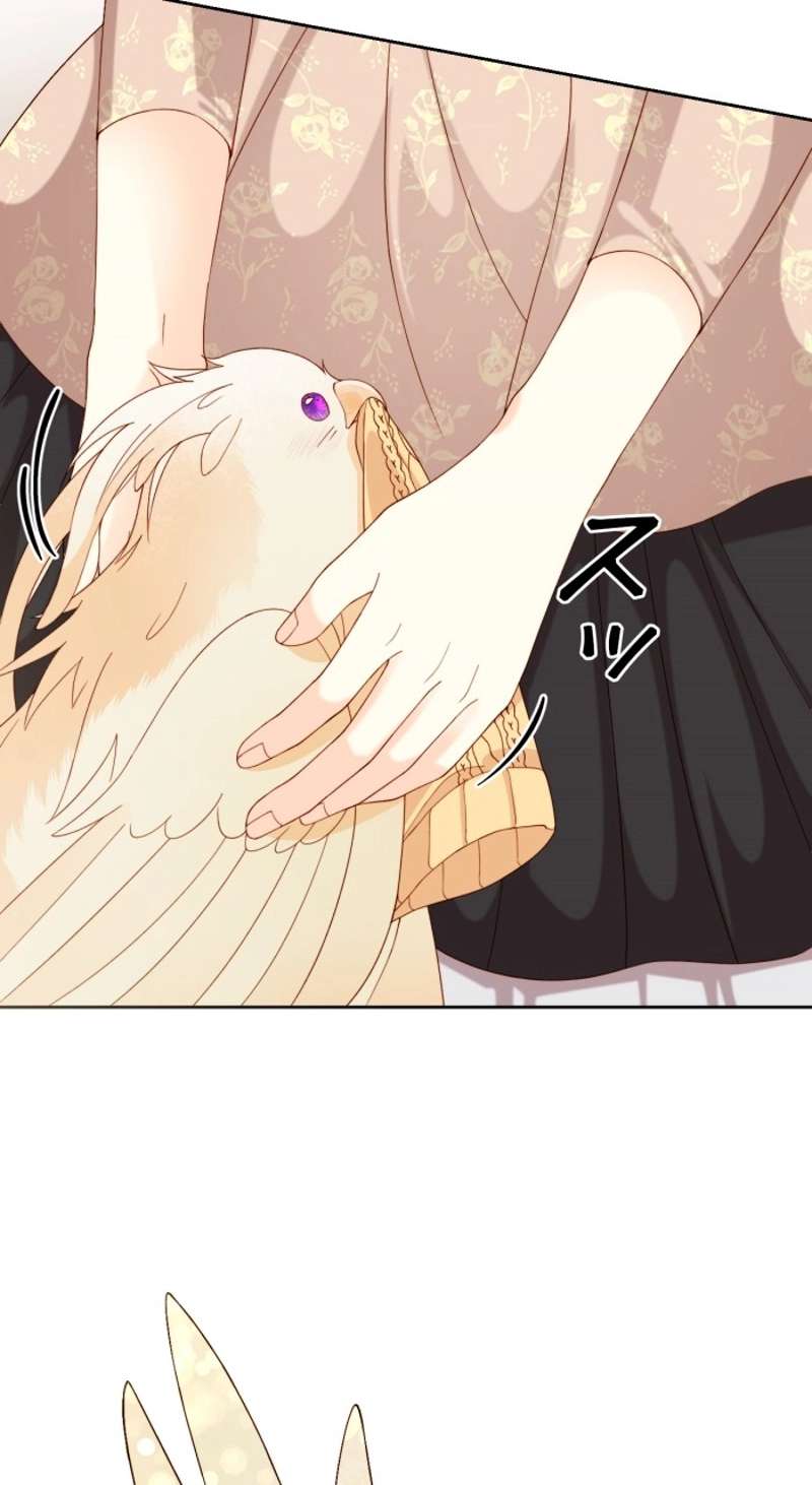 P46