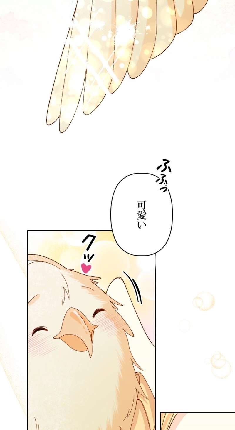P49