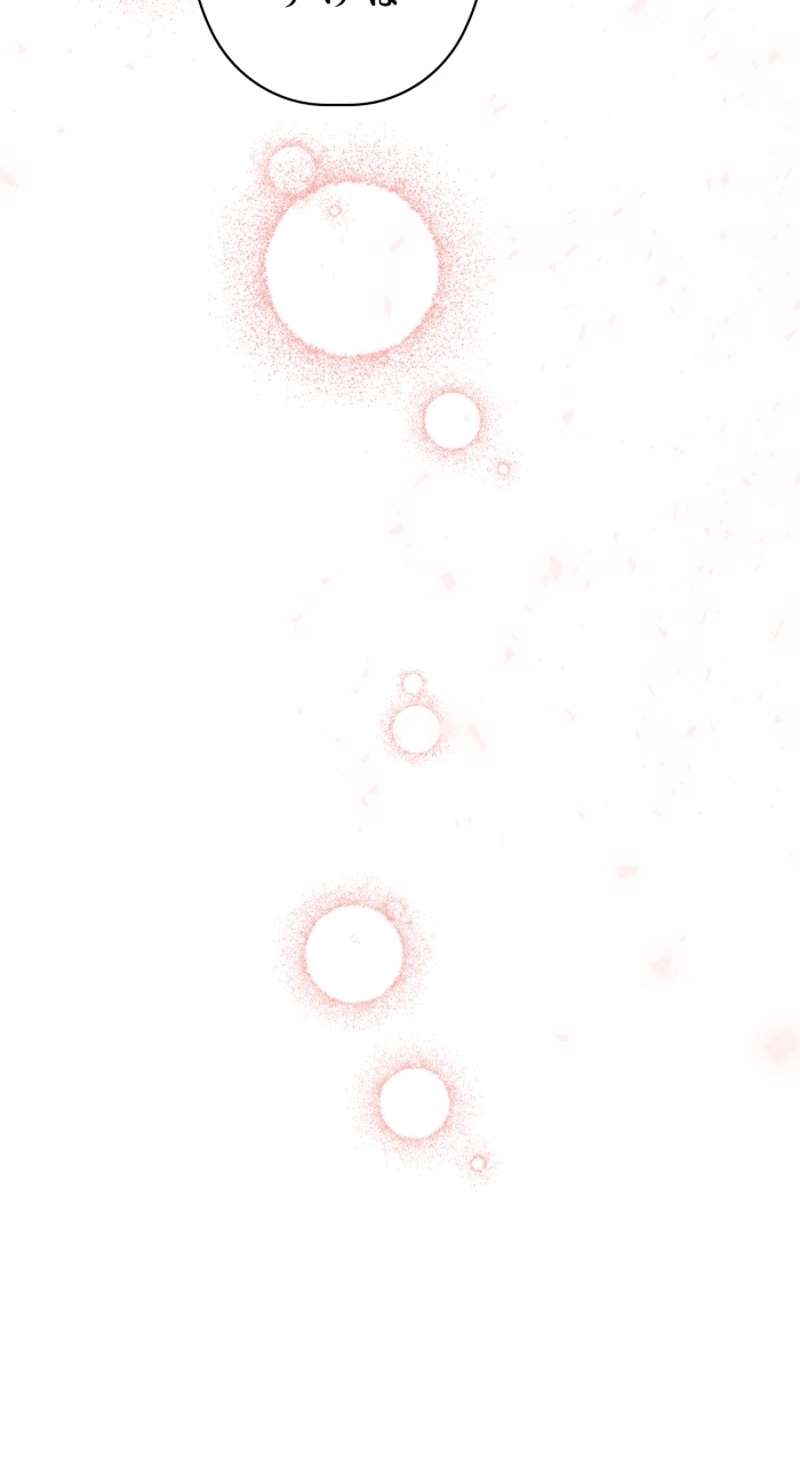 P61