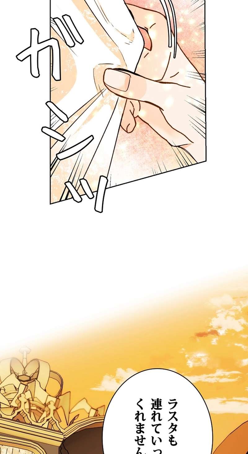 P24