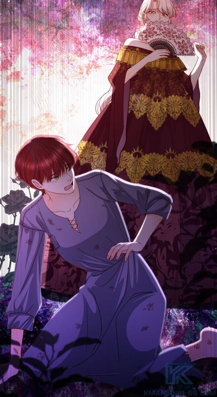 P61