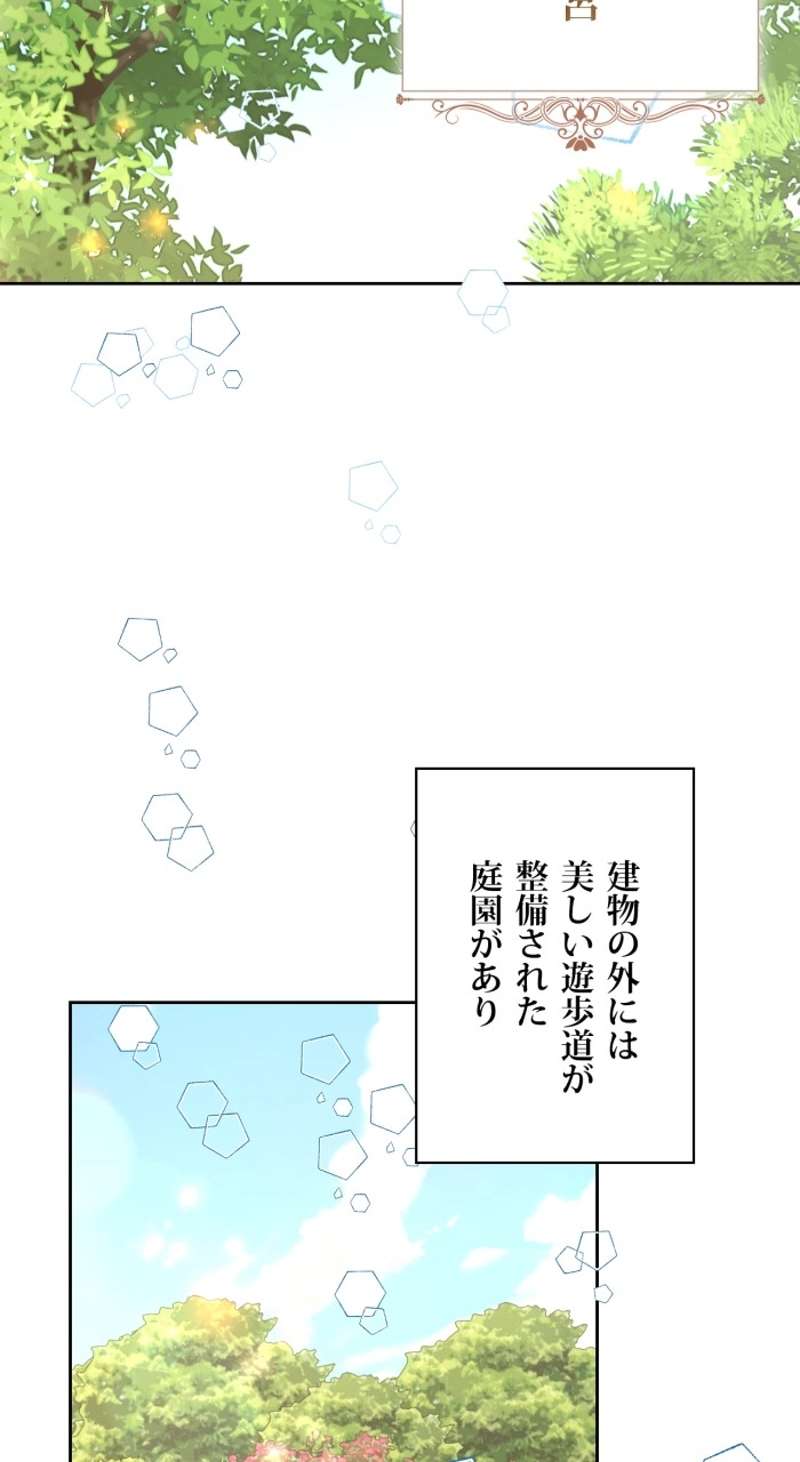 P58