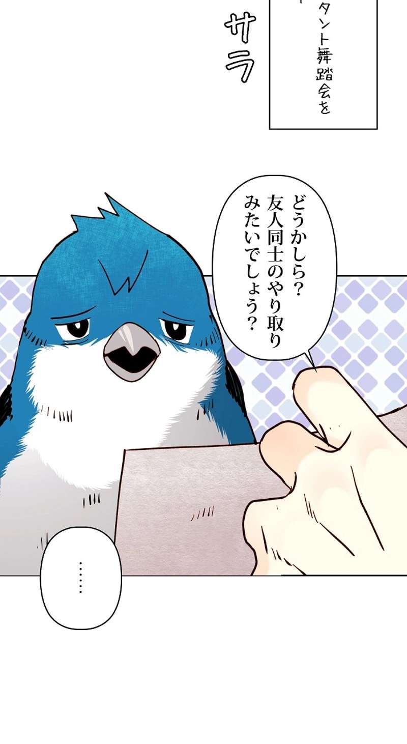 P41