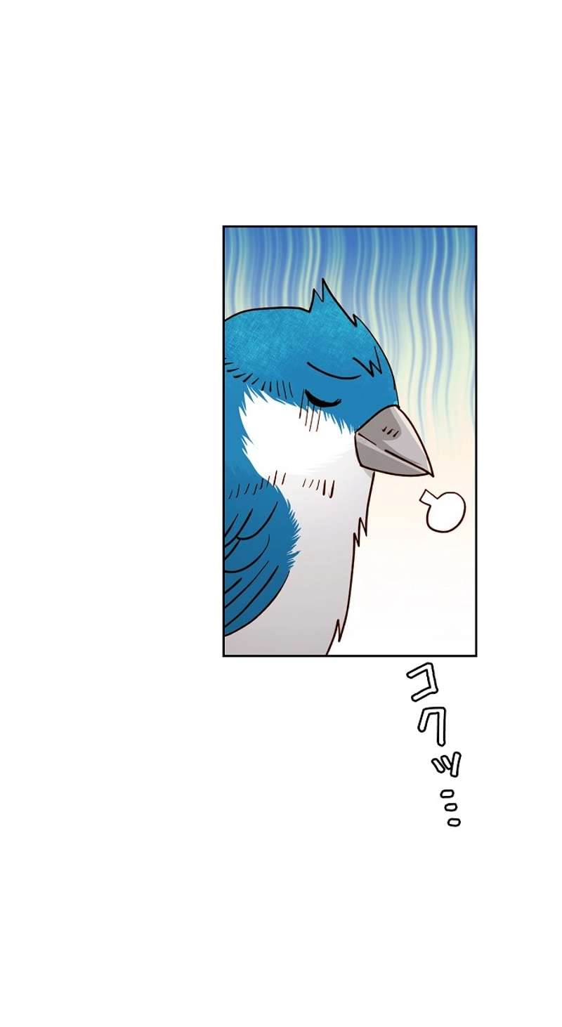 P42