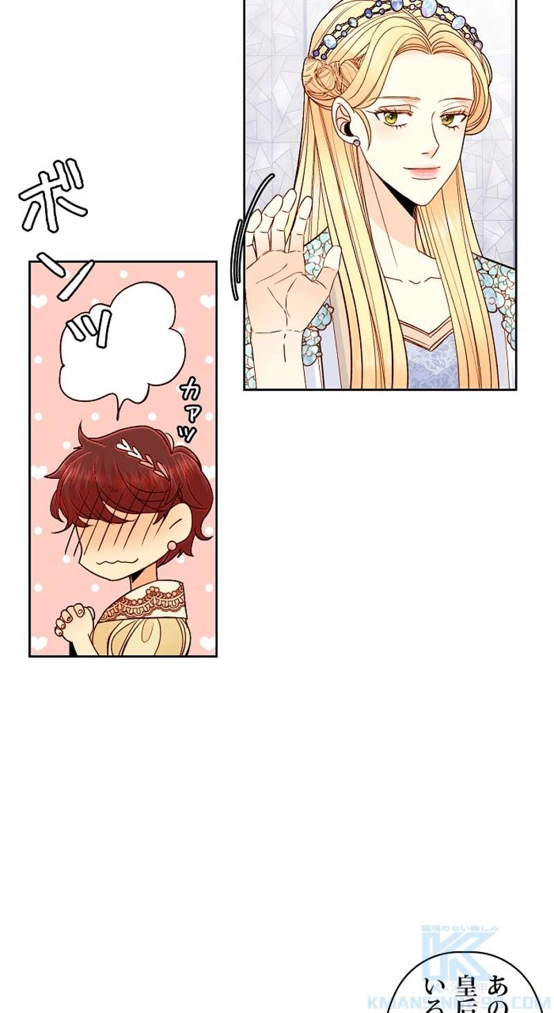 P61