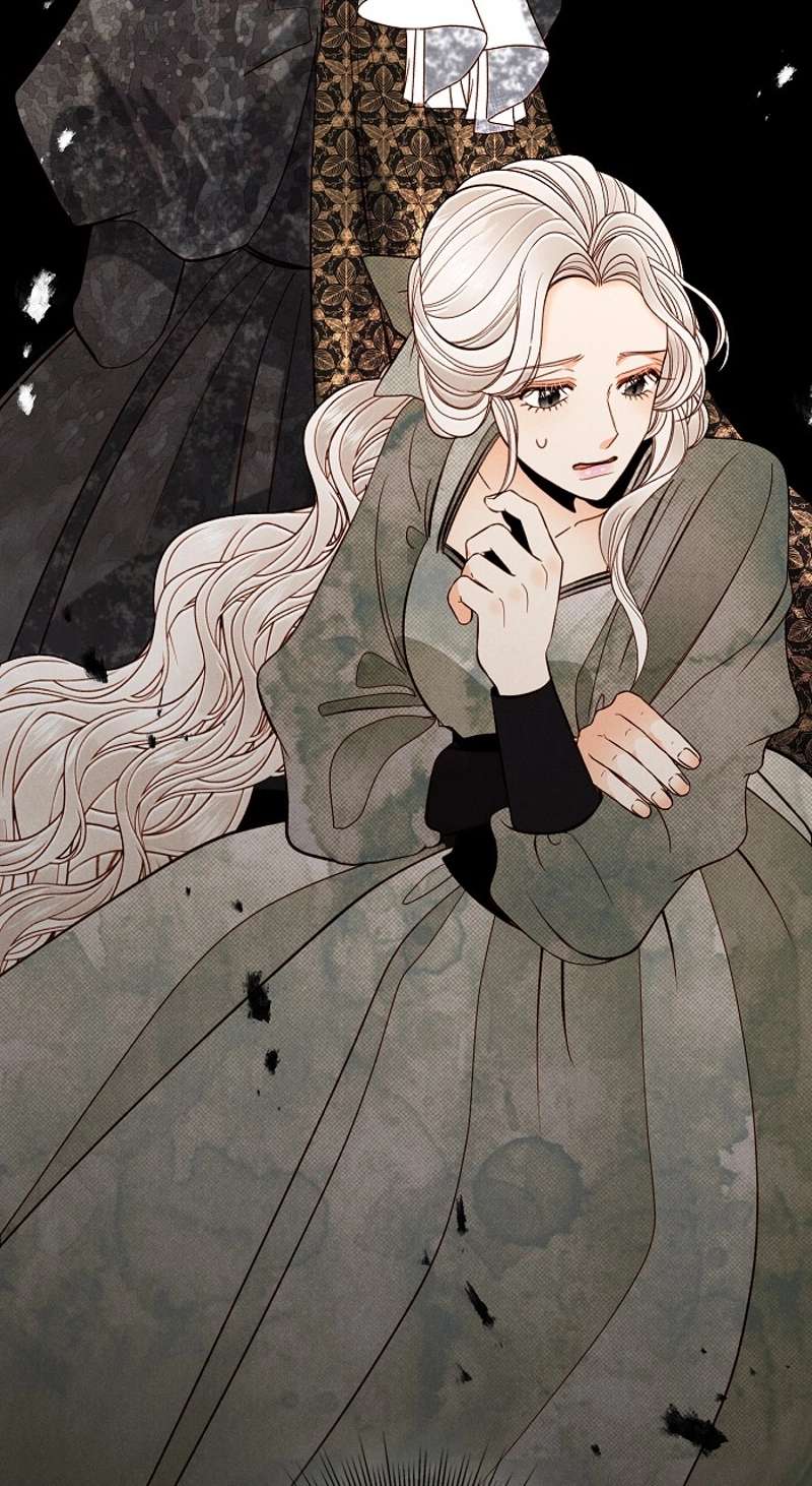 P53