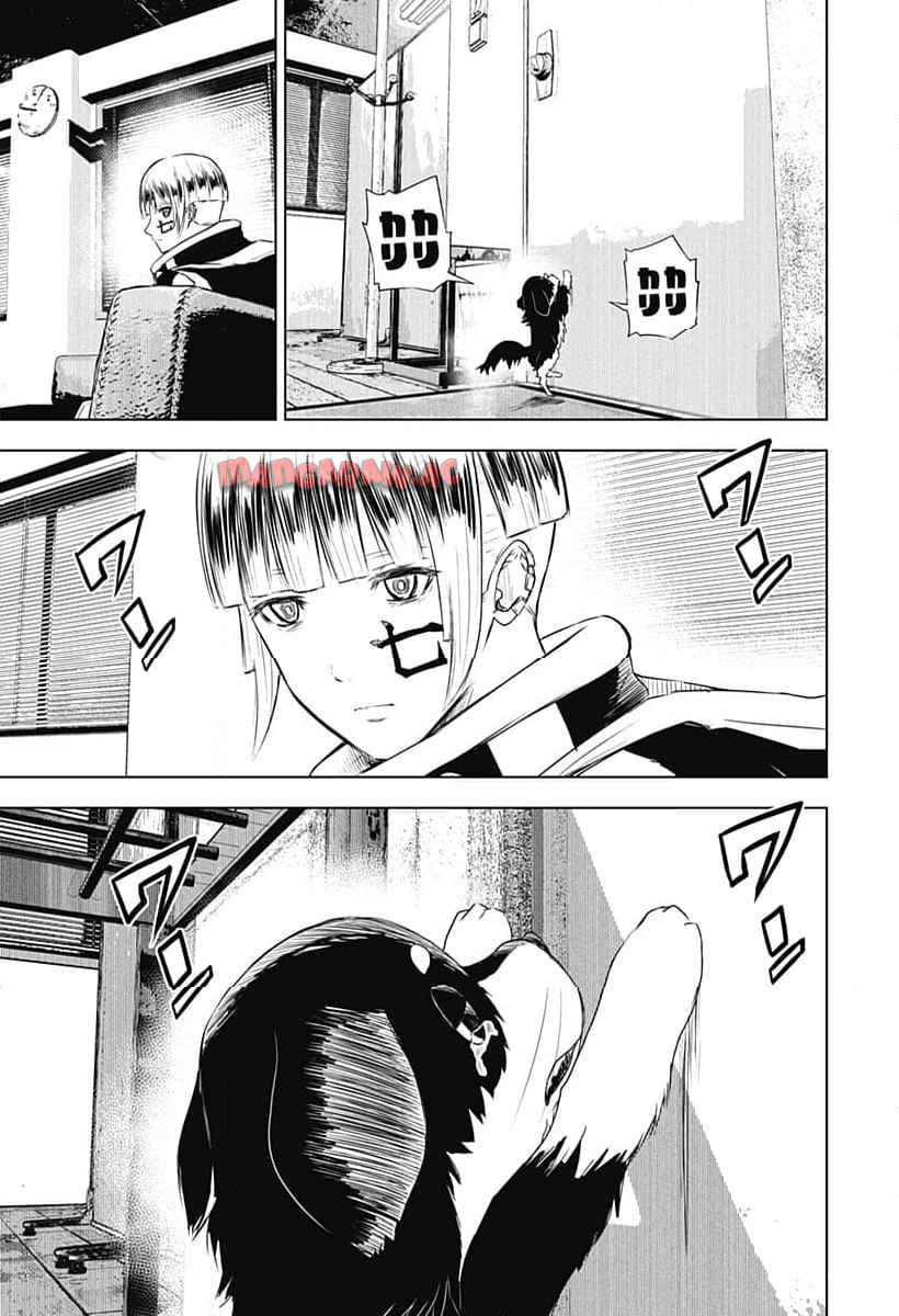 P23