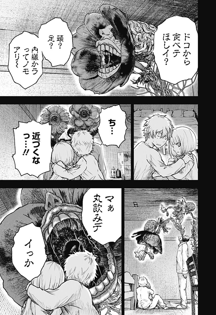 P29