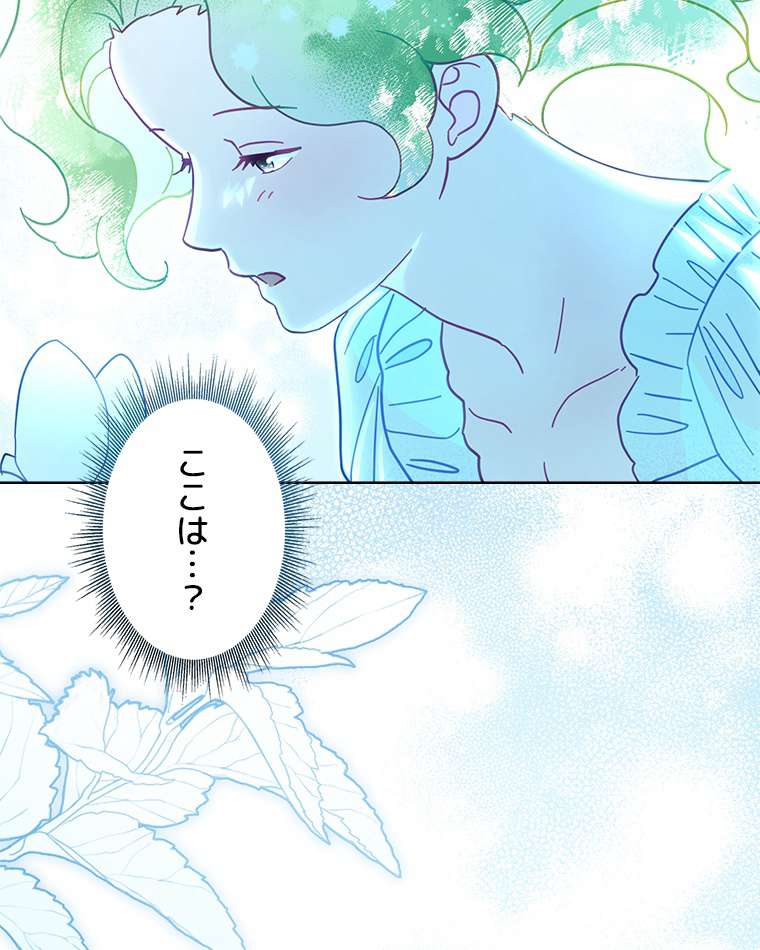 P65