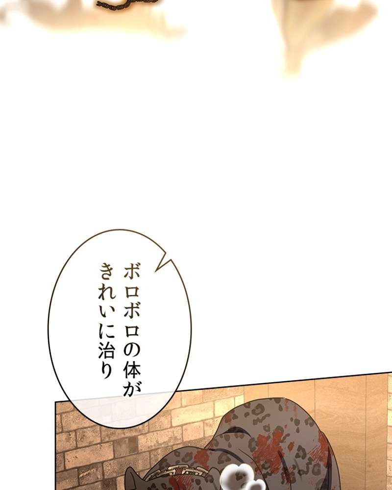 P24