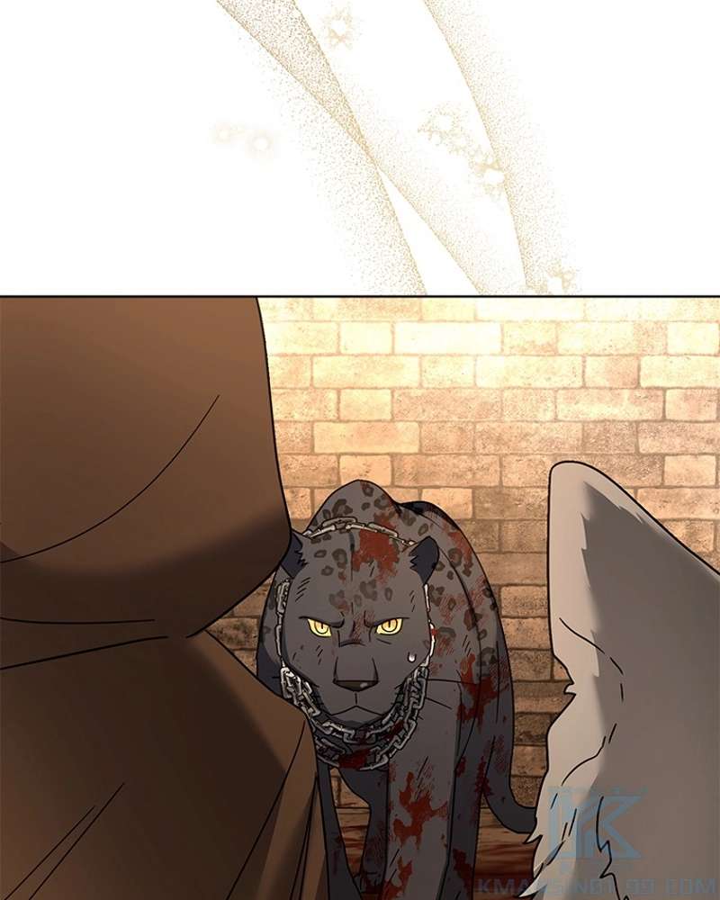 P37