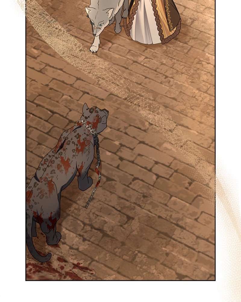 P42
