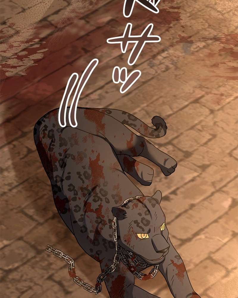 P44