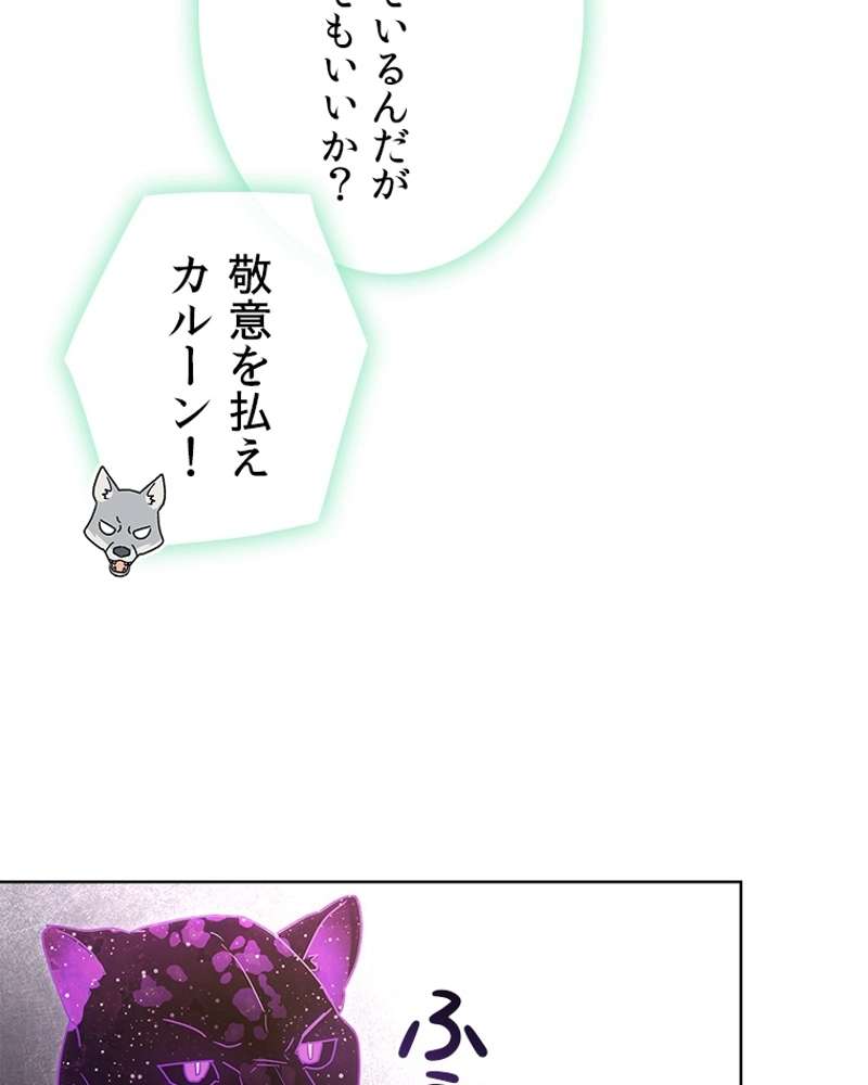P66