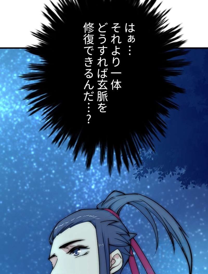 P58