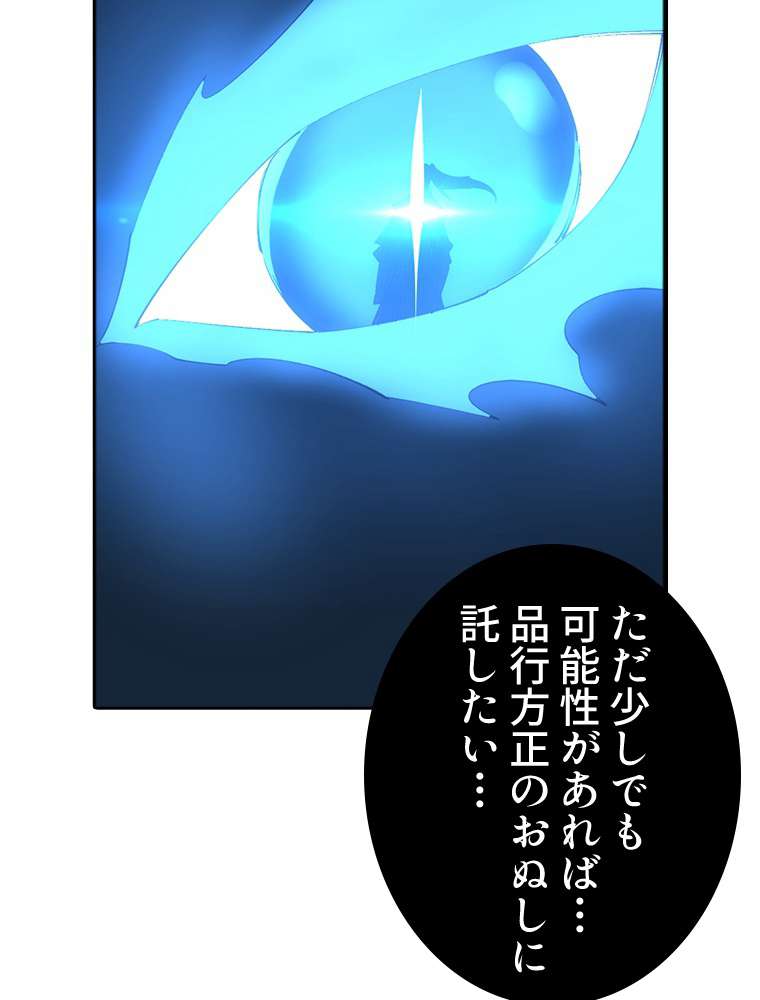P53