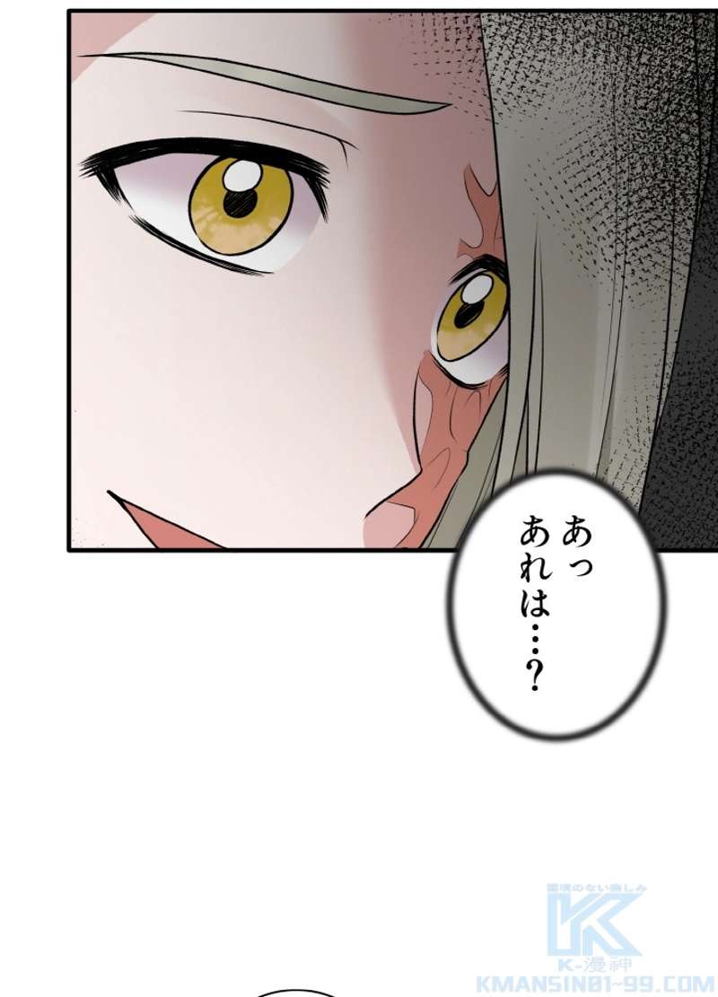 P58