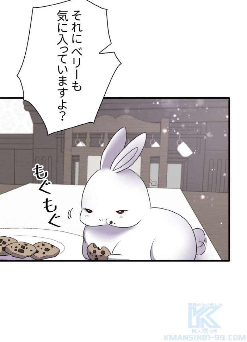P58