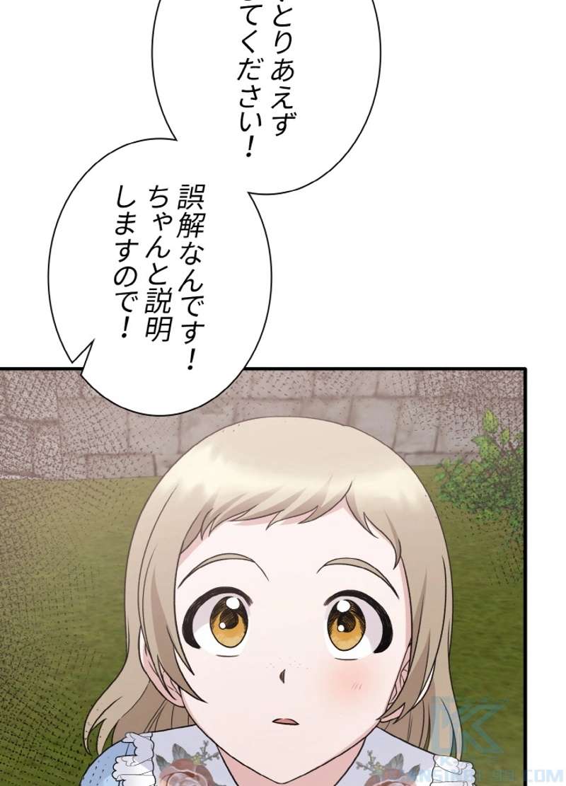 P61