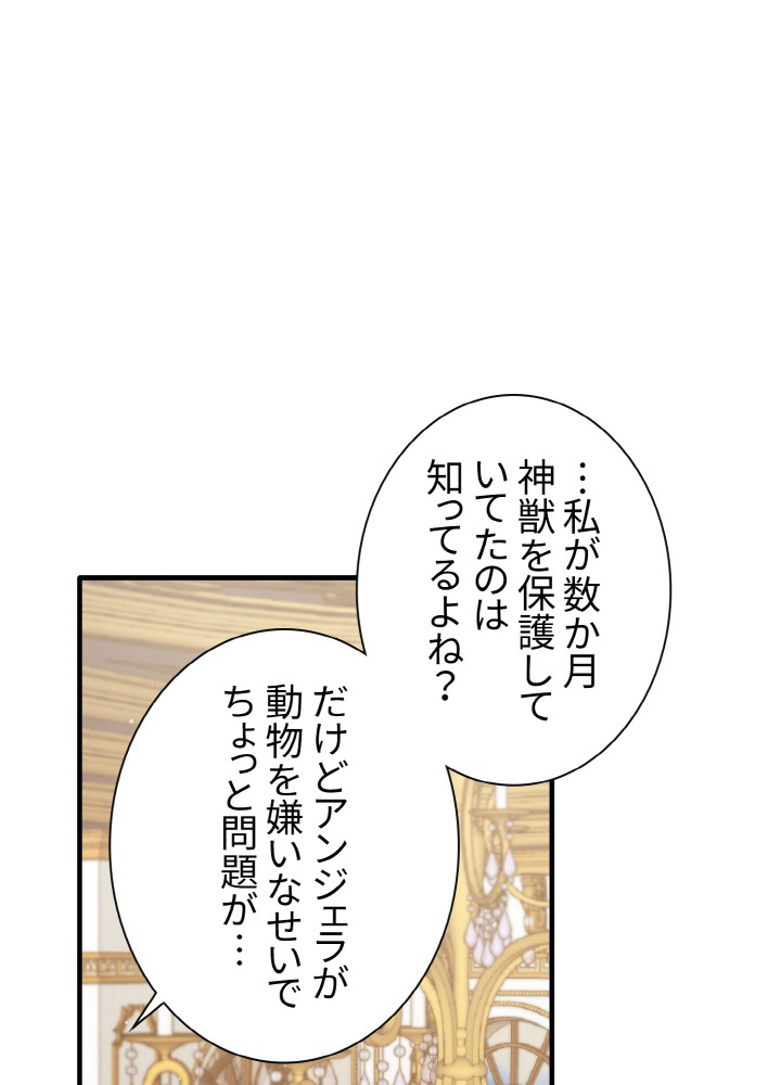 P51