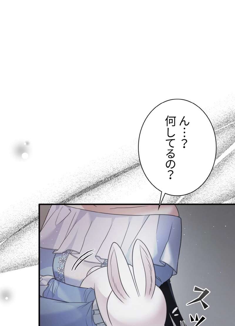 P62