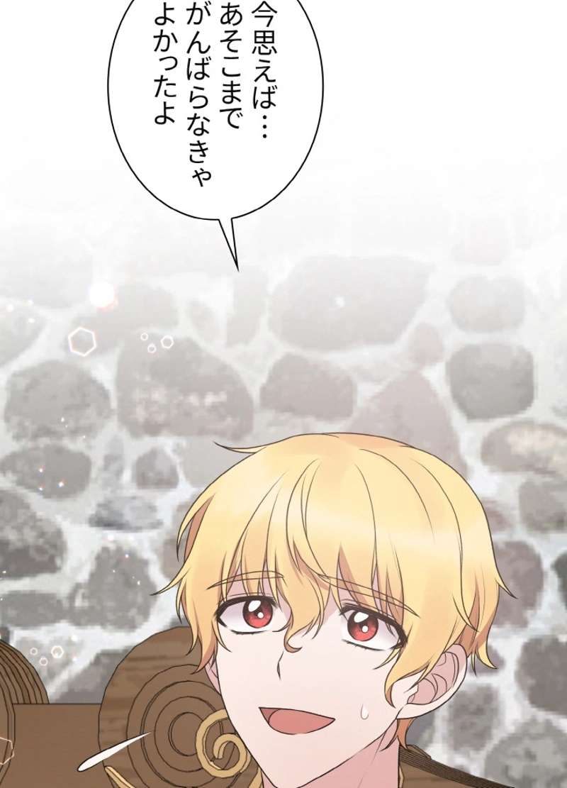 P66
