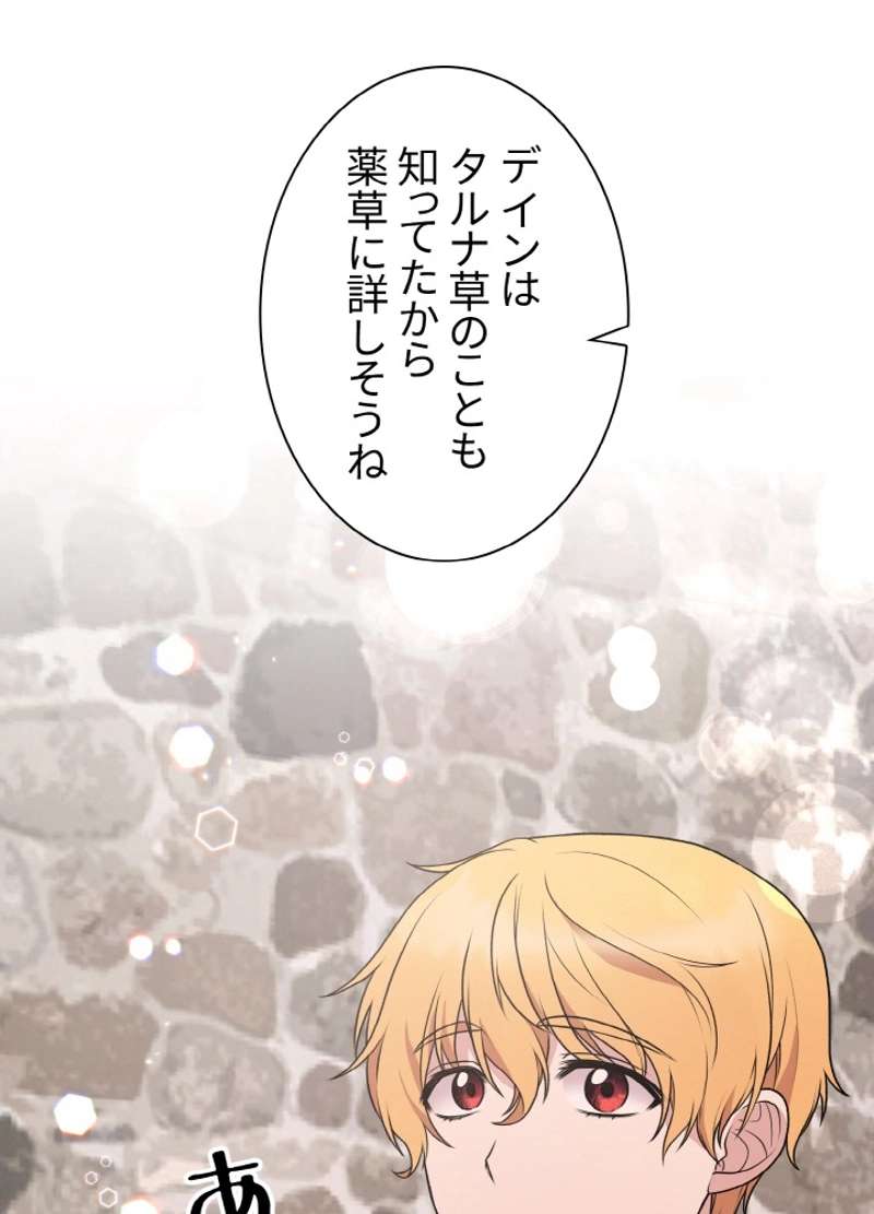 P81