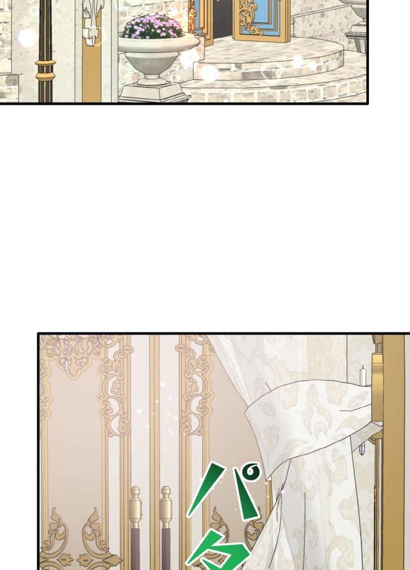 P66