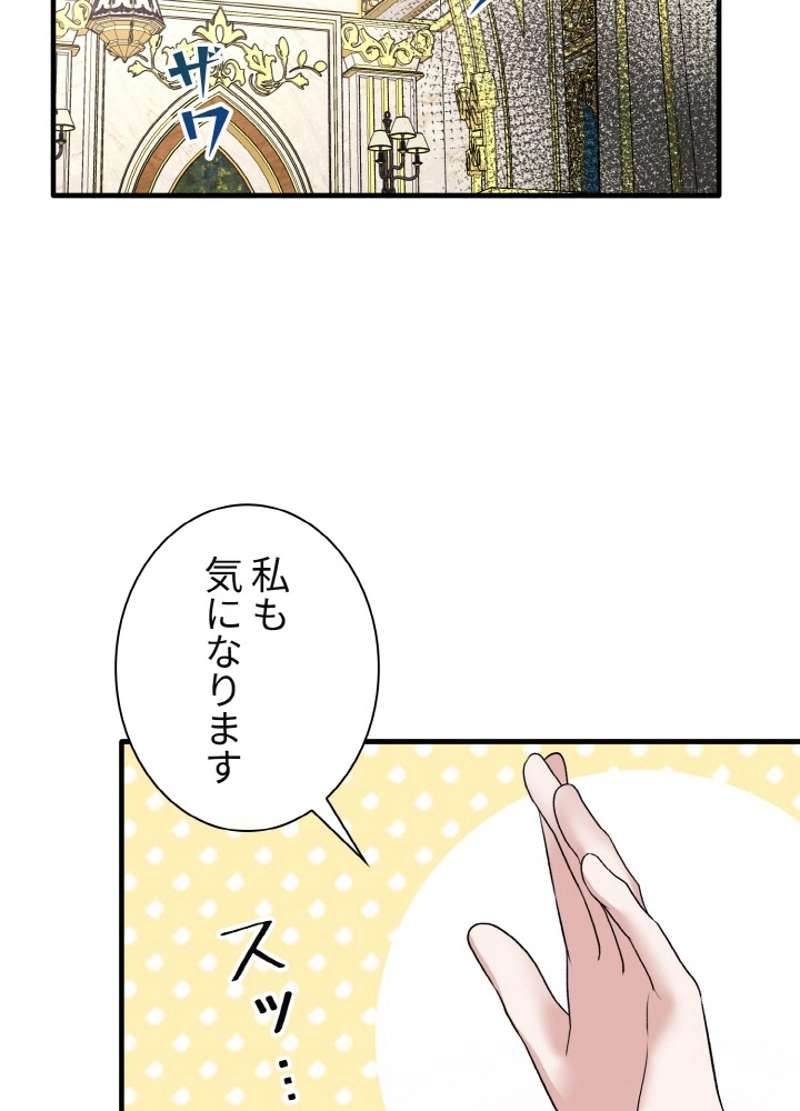 P66