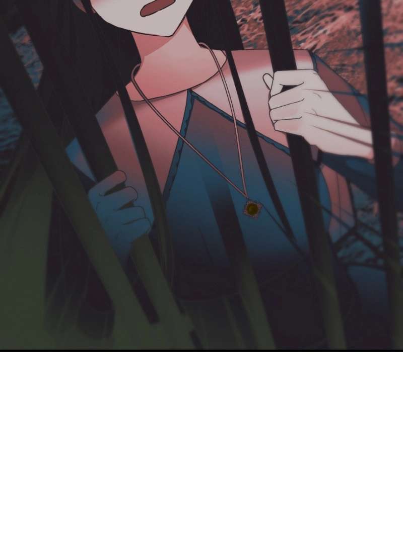 P54