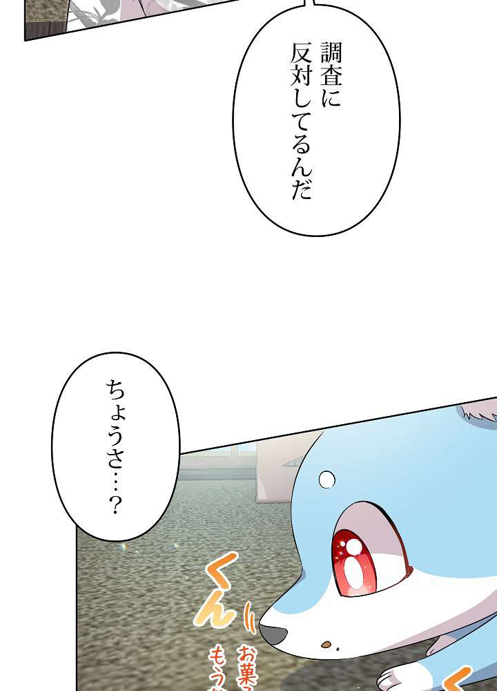 P63