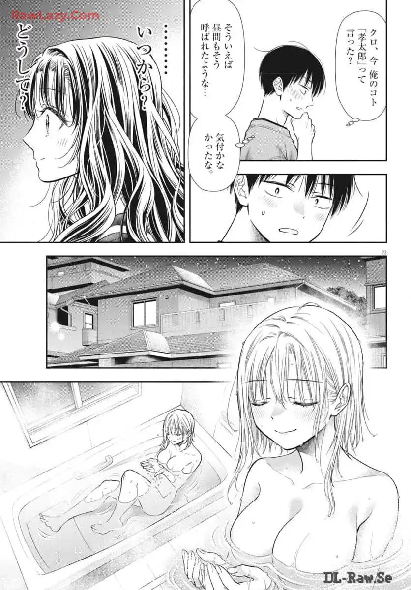 P23