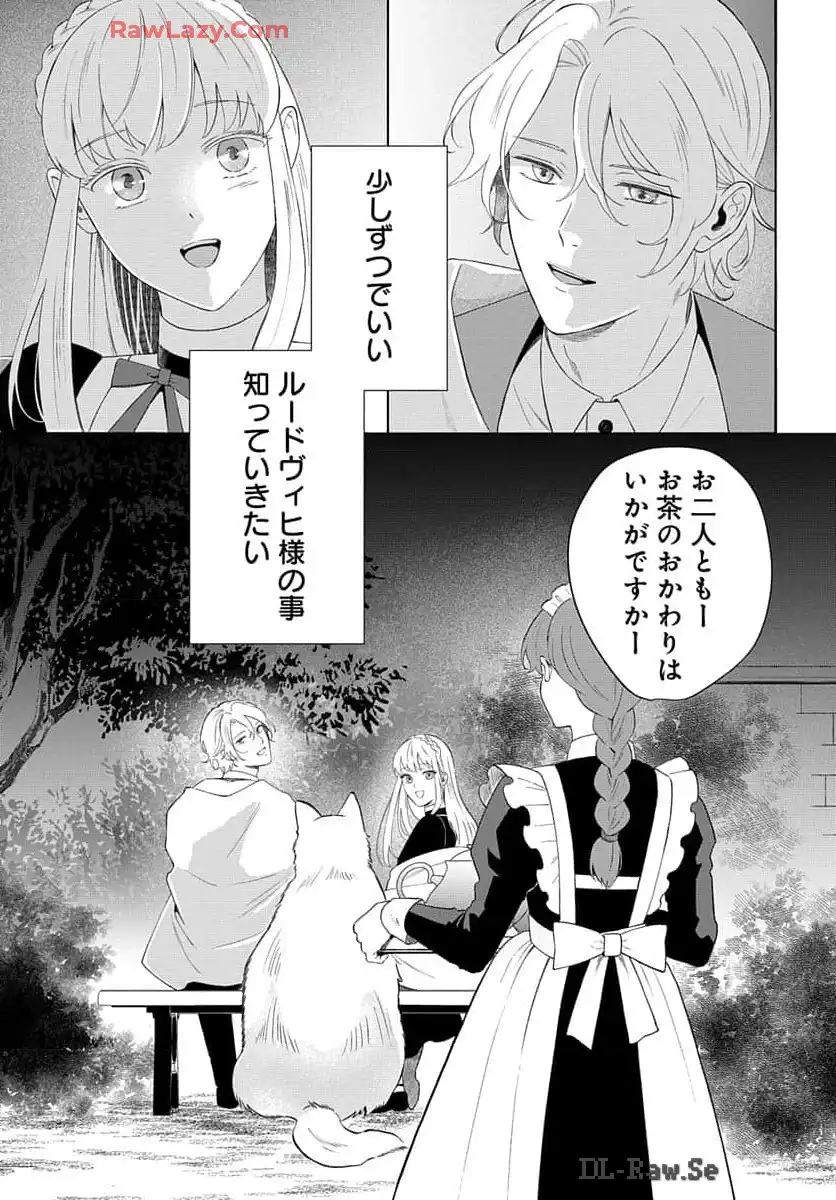P53