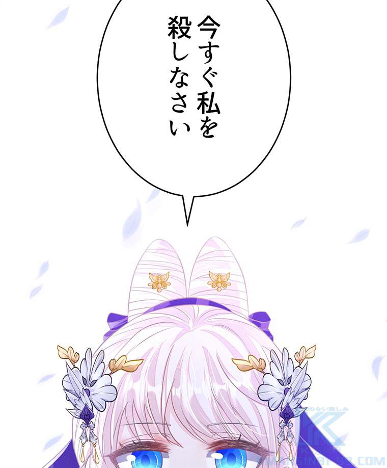 P64