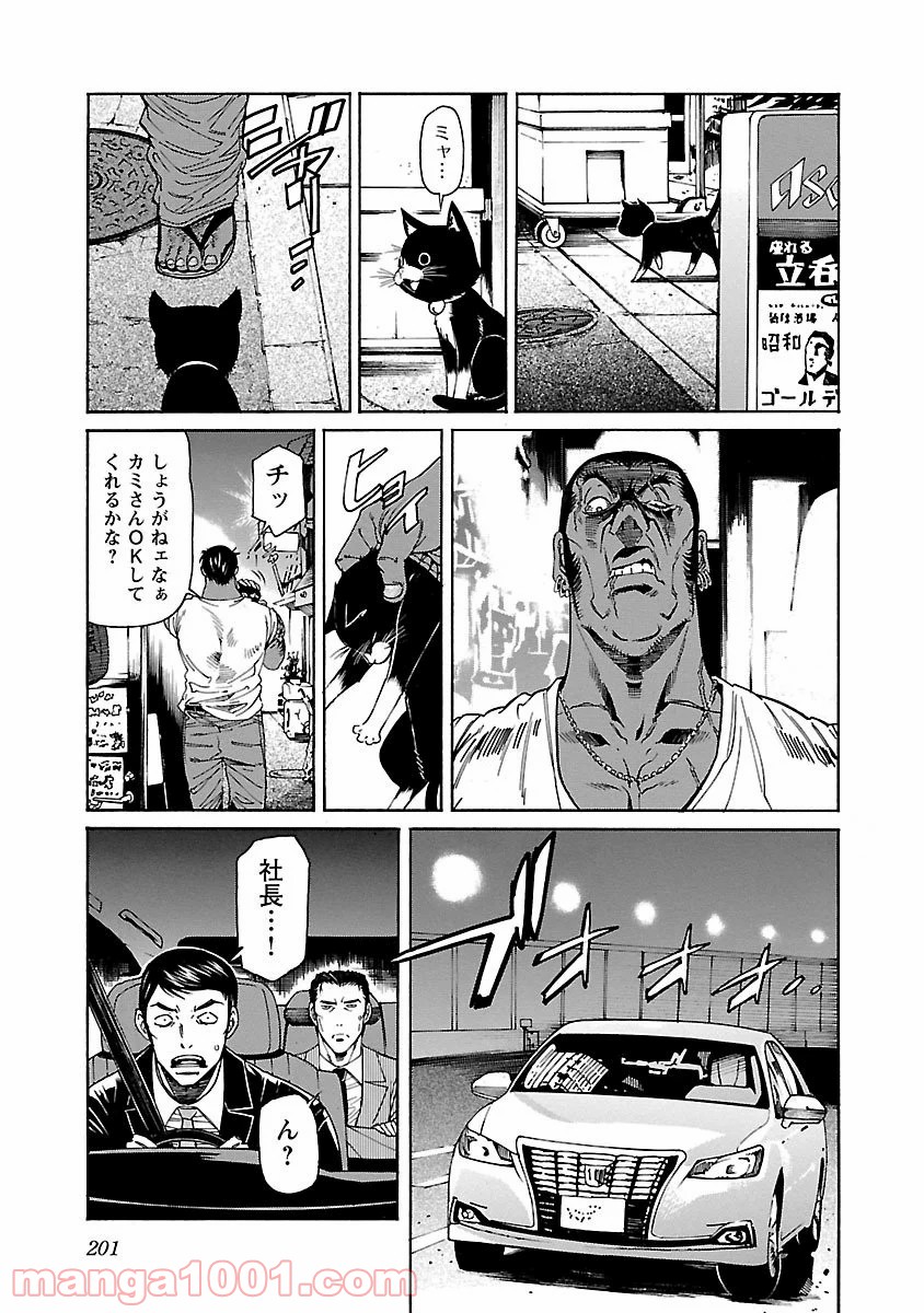 P27