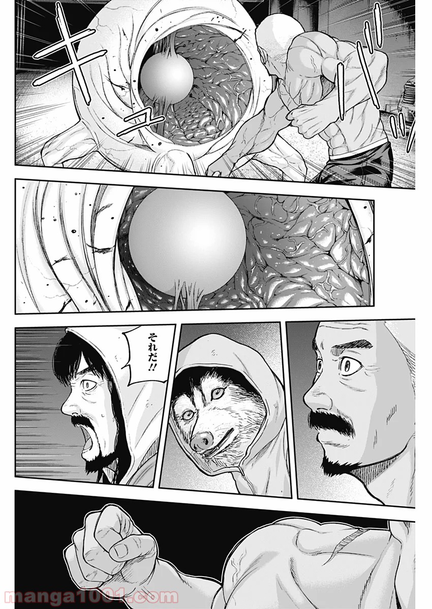 P14