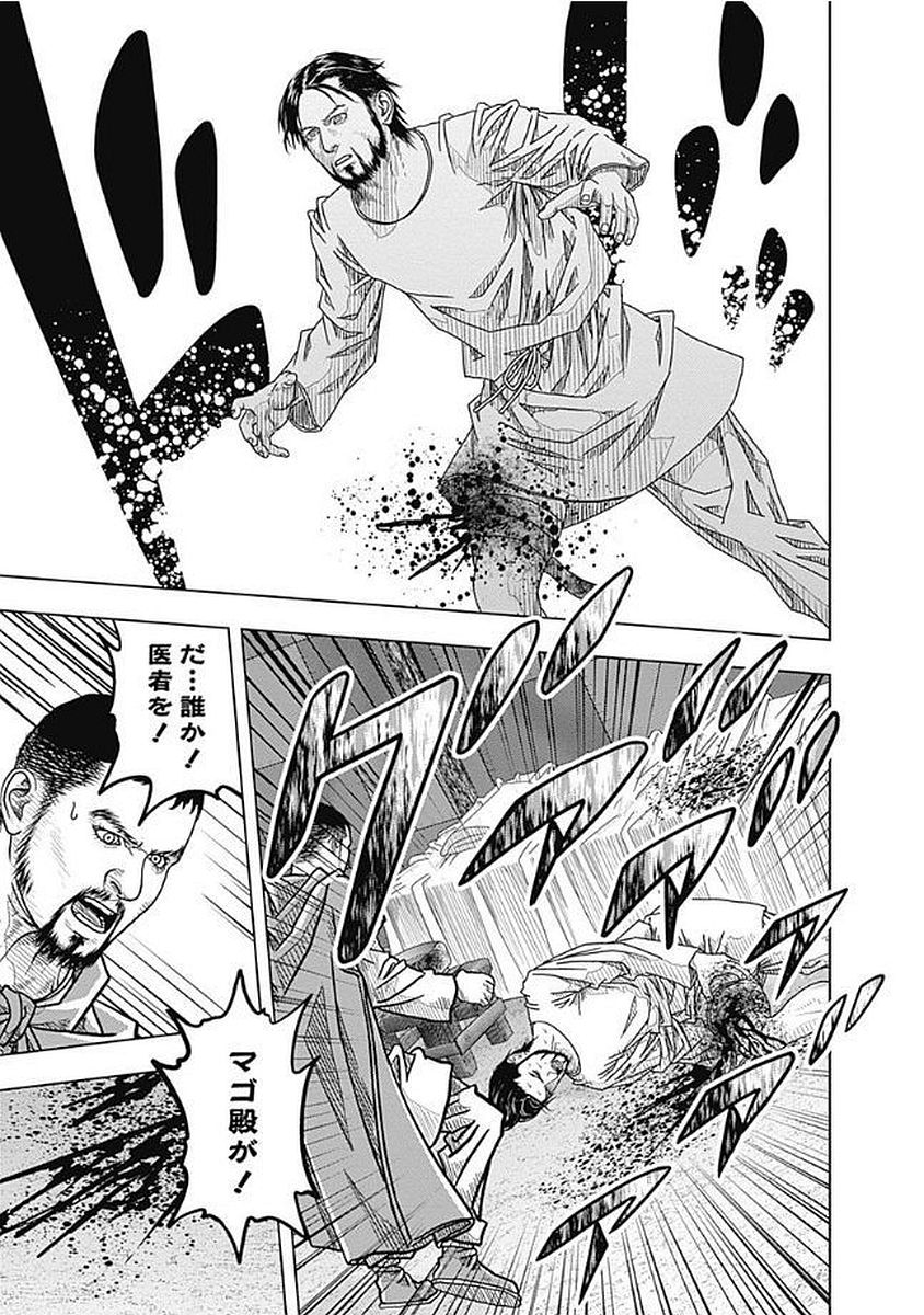 P29