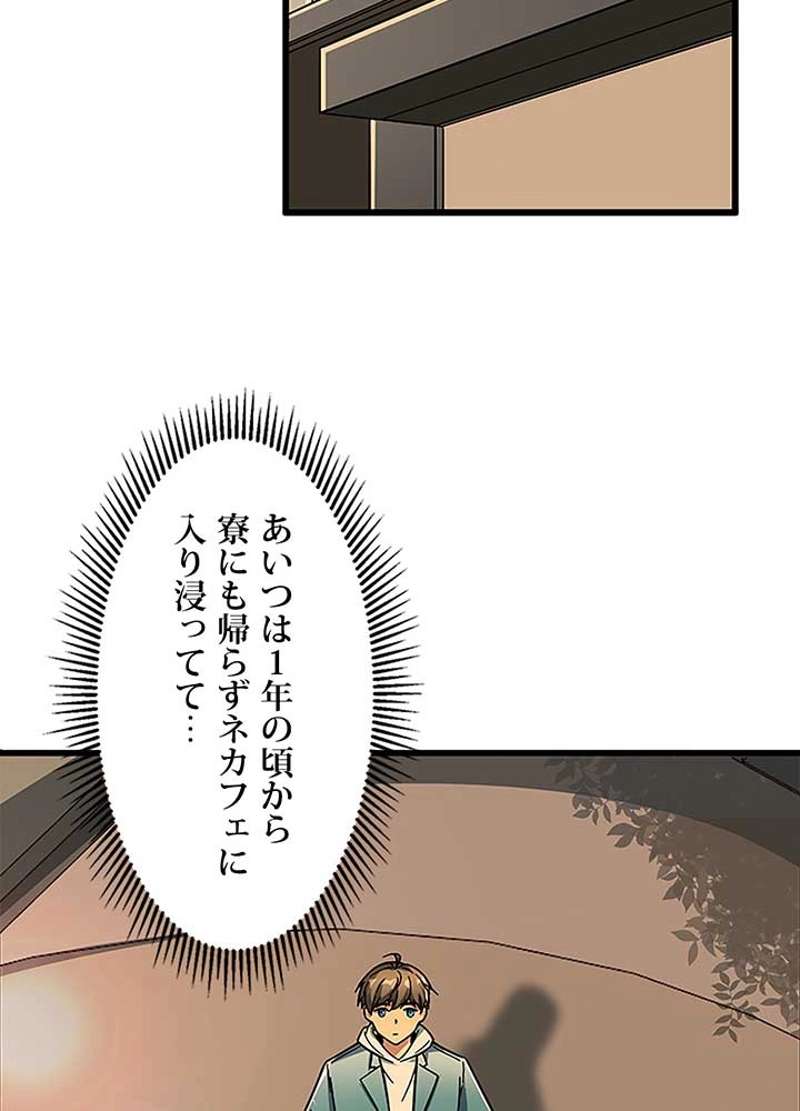 P53