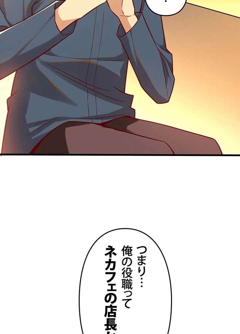 P51