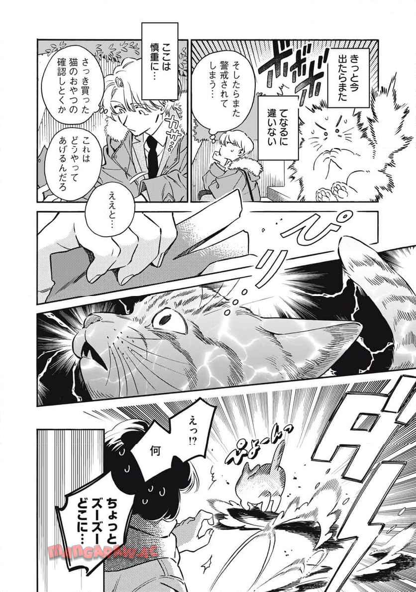 P26