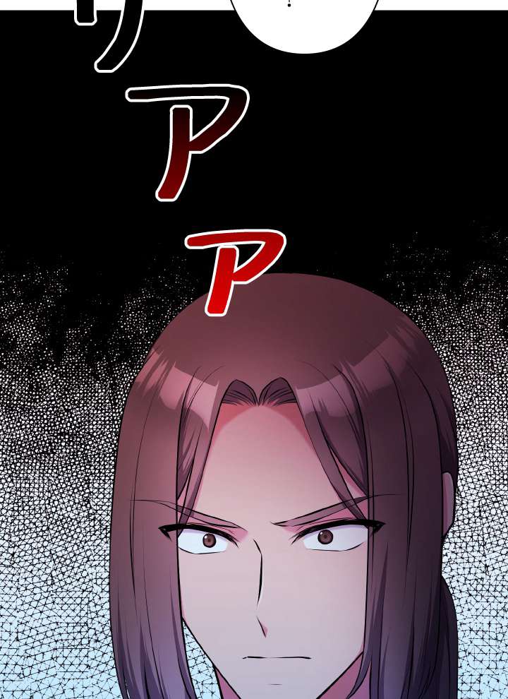 P113