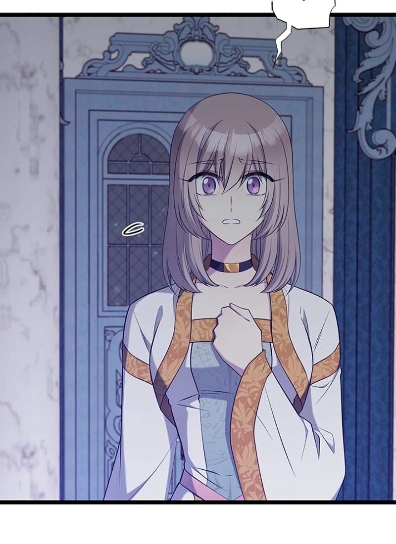 P84