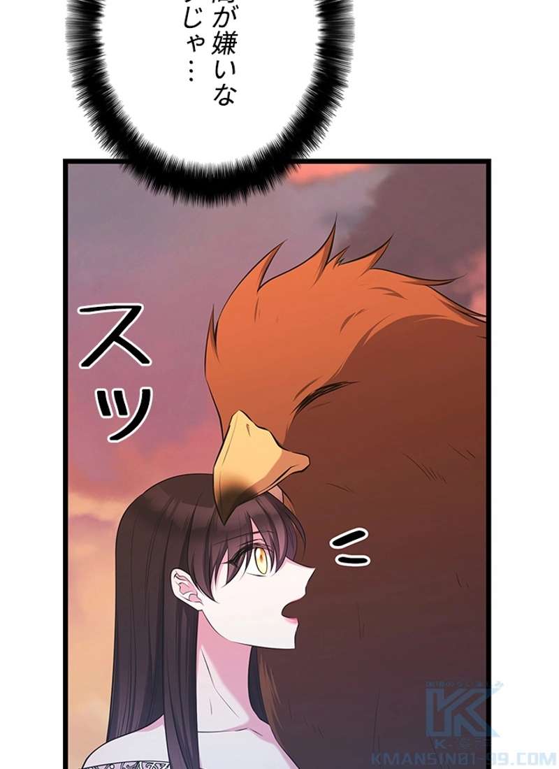 P67
