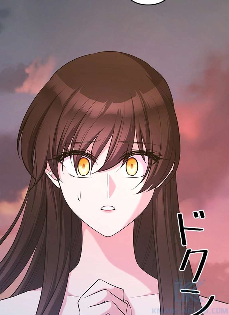 P85
