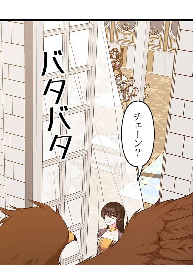 P84