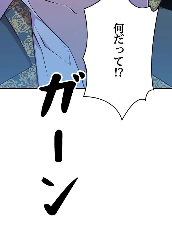 P113
