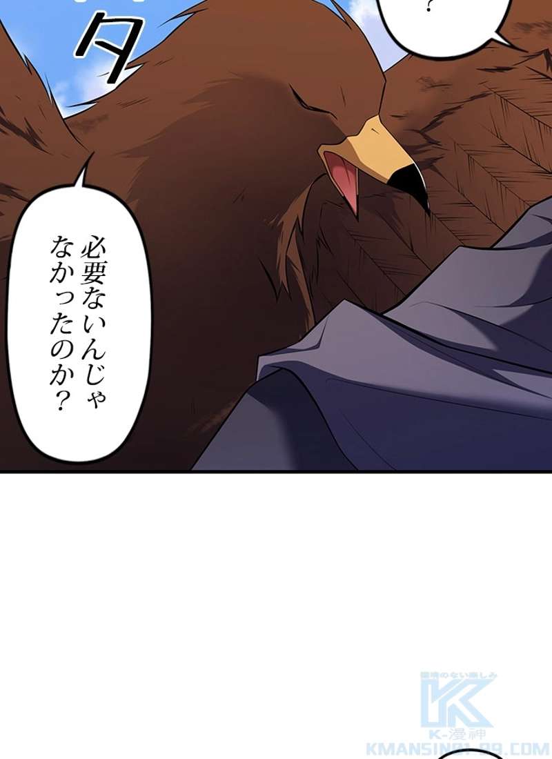 P113