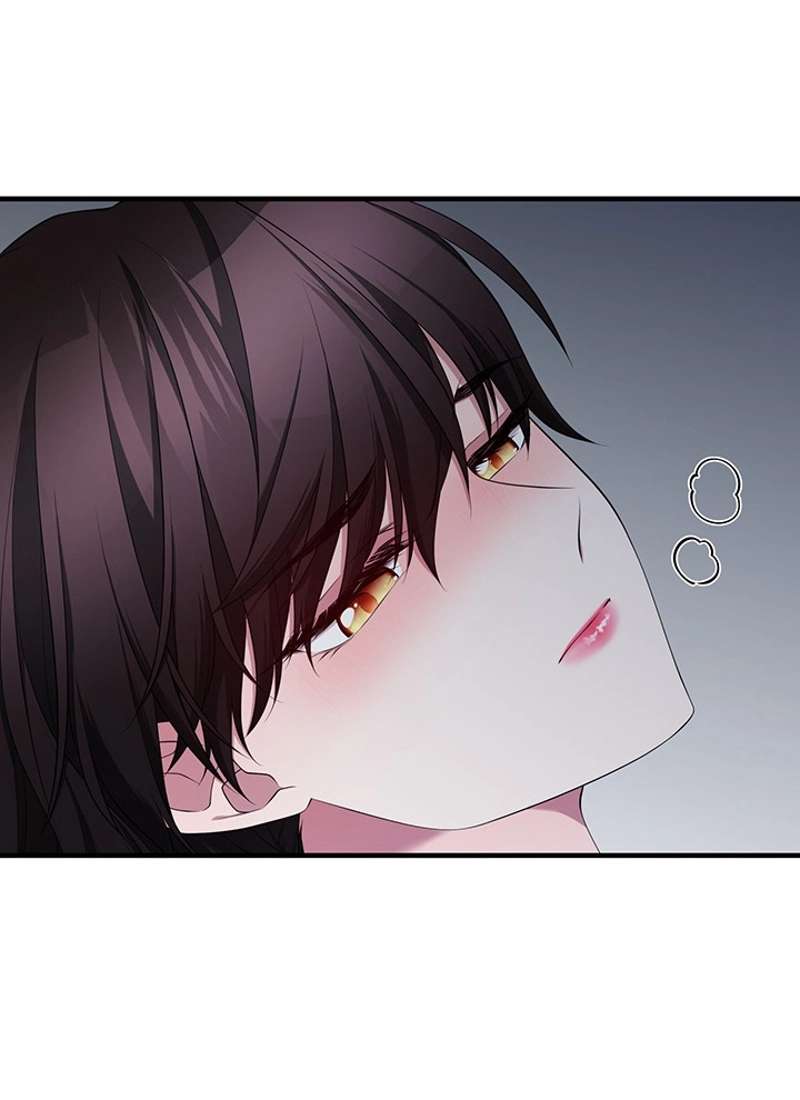 P66