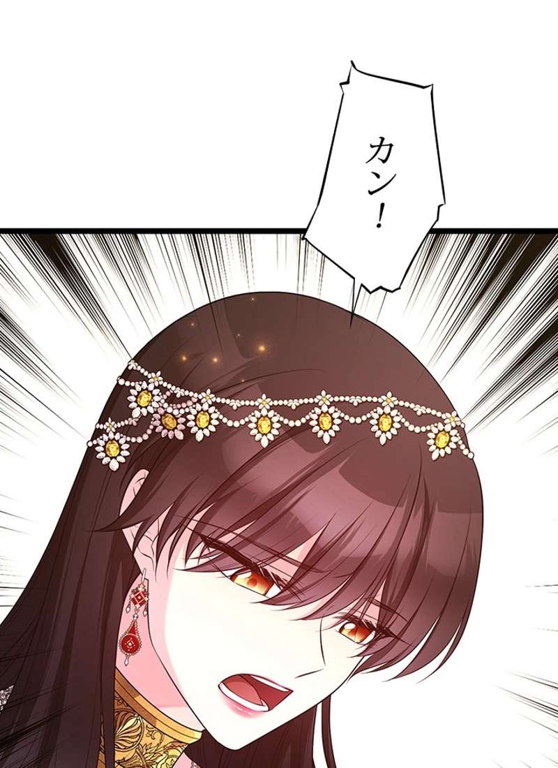 P53