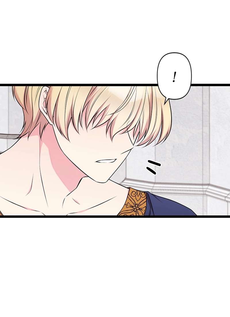 P53